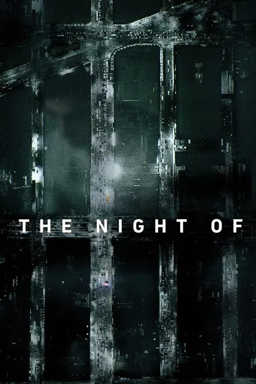 The Night Of (2016) film posteri